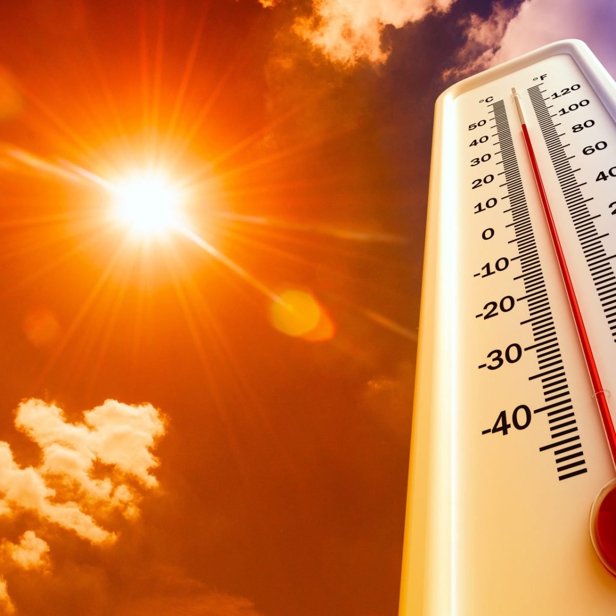 Indomet pronostica día soleado y caluroso con algunos chubascos en la tarde – El Nuevo Diario (República Dominicana)
