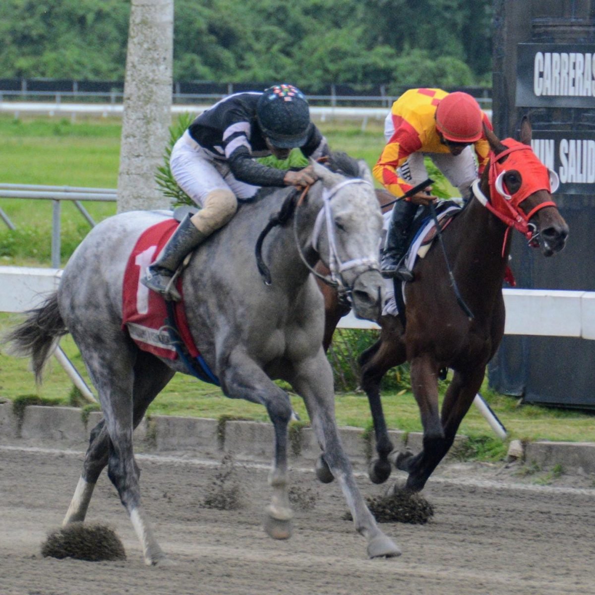 Jinete Jesús Frías gana 3 carreras y pool paga RD$13,412.00 – El Nuevo Diario (República Dominicana)